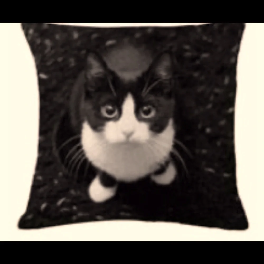🆕🐈 Cat Throw Pillow Cover- Black and Cream